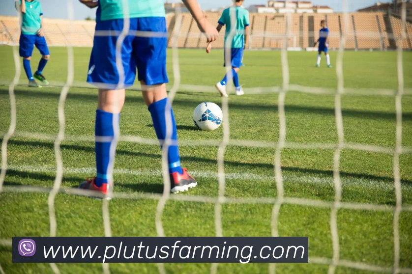 互动解说服务